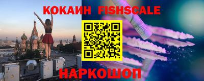 гашик Можга