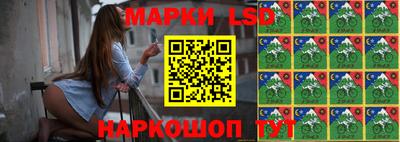 гашик Можга