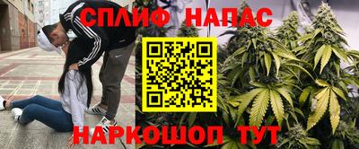 гашик Можга