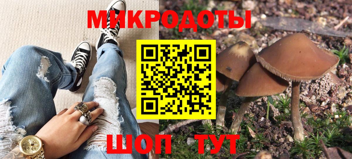Галлюциногенные грибы Cubensis  Вход с VPN  Галлюциногенные грибы прущие грибы  как найти   Видное 