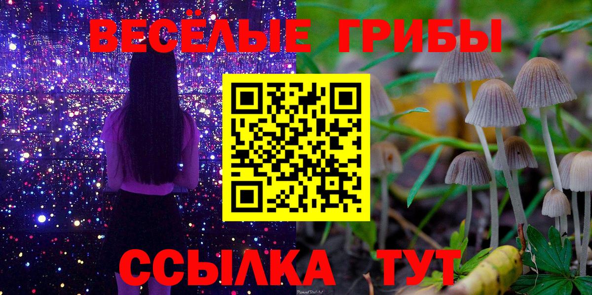 Галлюциногенные грибы мухоморы Видное